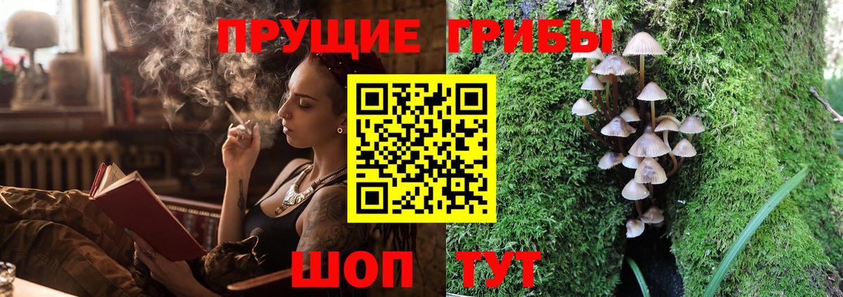 Михайловск  цена наркотик  Вход с VPN  Псилоцибиновые грибы прущие грибы 
